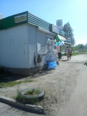 CAM00211.jpg