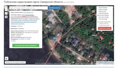 петрушка.JPG