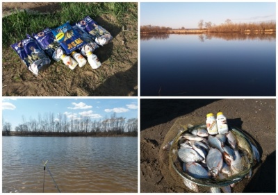 MyCollages (2).jpg