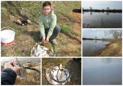 MyCollages (3).jpg