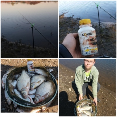 MyCollages (4).jpg