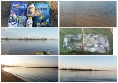 MyCollages (19).jpg