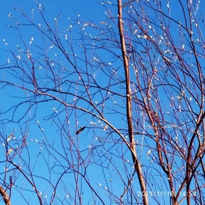 IMG-320eebb8c721f5eeb6f939d922adf017-V.jpg