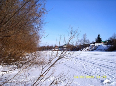 SS851380.JPG