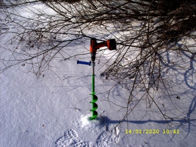 SS851373.JPG