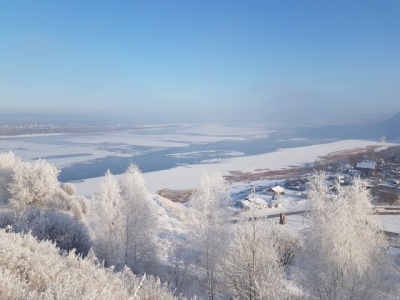 20201205_134247.jpg