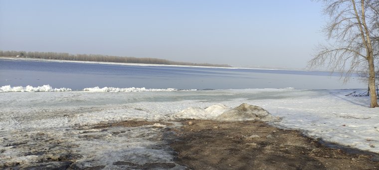 IMG_20210403_172033.jpg
