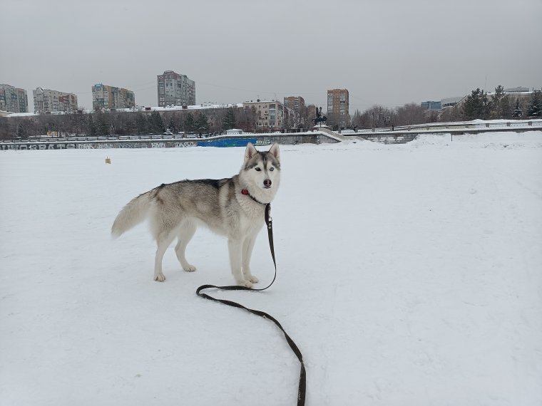 IMG20220131114134.jpg