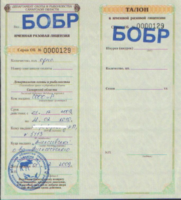 1259657365.jpg