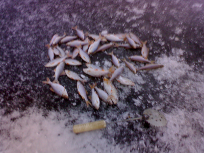 DSC00376.jpg