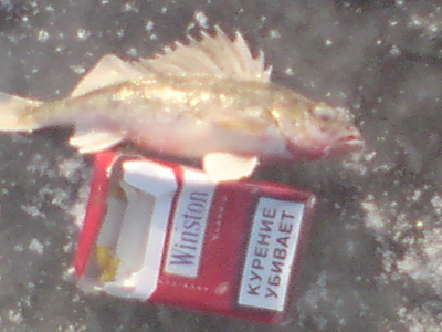 DSC00235.jpg