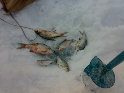 13032011105.jpg