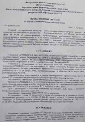 01.jpg