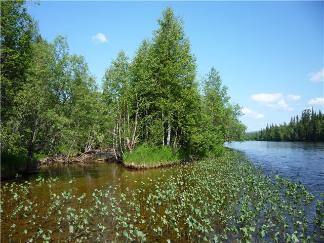 Рыбалка на Северном Урале
