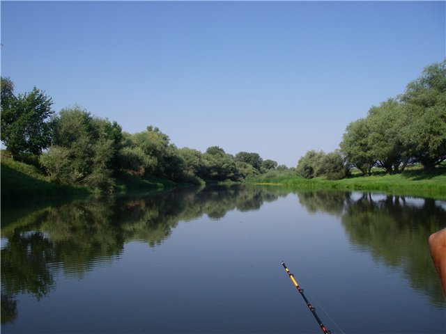 Рыбалка на Ахтубе