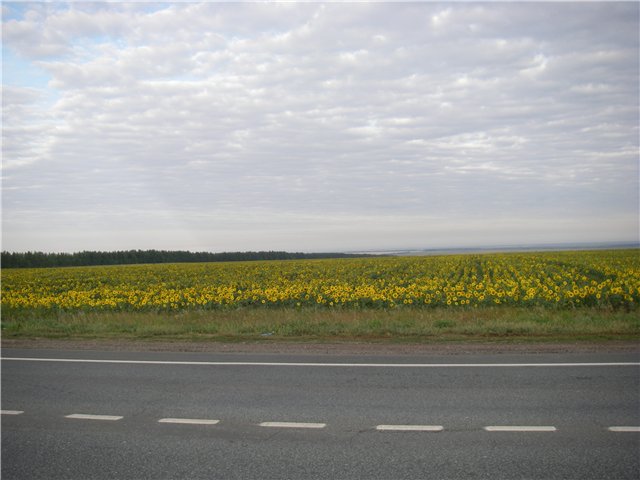 Рыбалка на Ахтубе