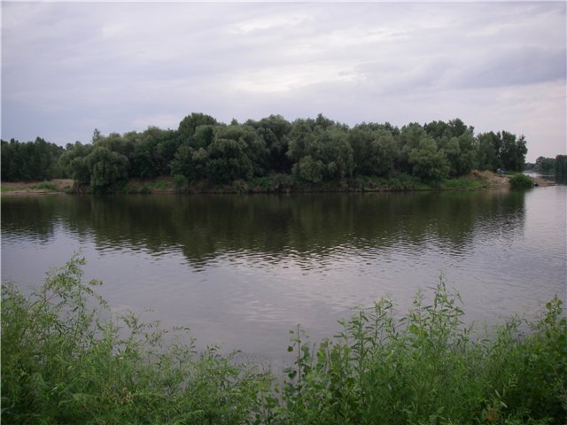Рыбалка на Ахтубе