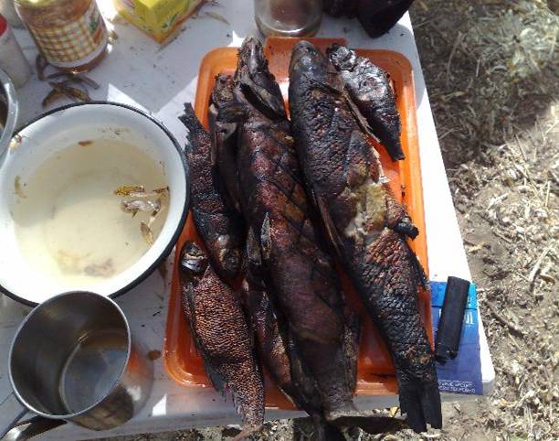 Рыбалка на Ахтубе