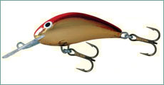Salmo Hornet
