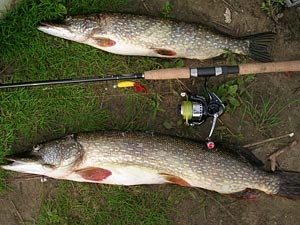   Loomis&Franklin Steelhead + Tom Lakefield X7Pro 3000