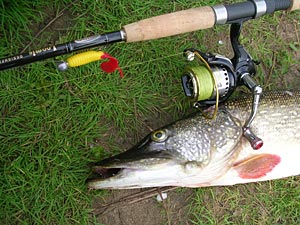   Loomis&Franklin Steelhead + Tom Lakefield X7Pro 3000